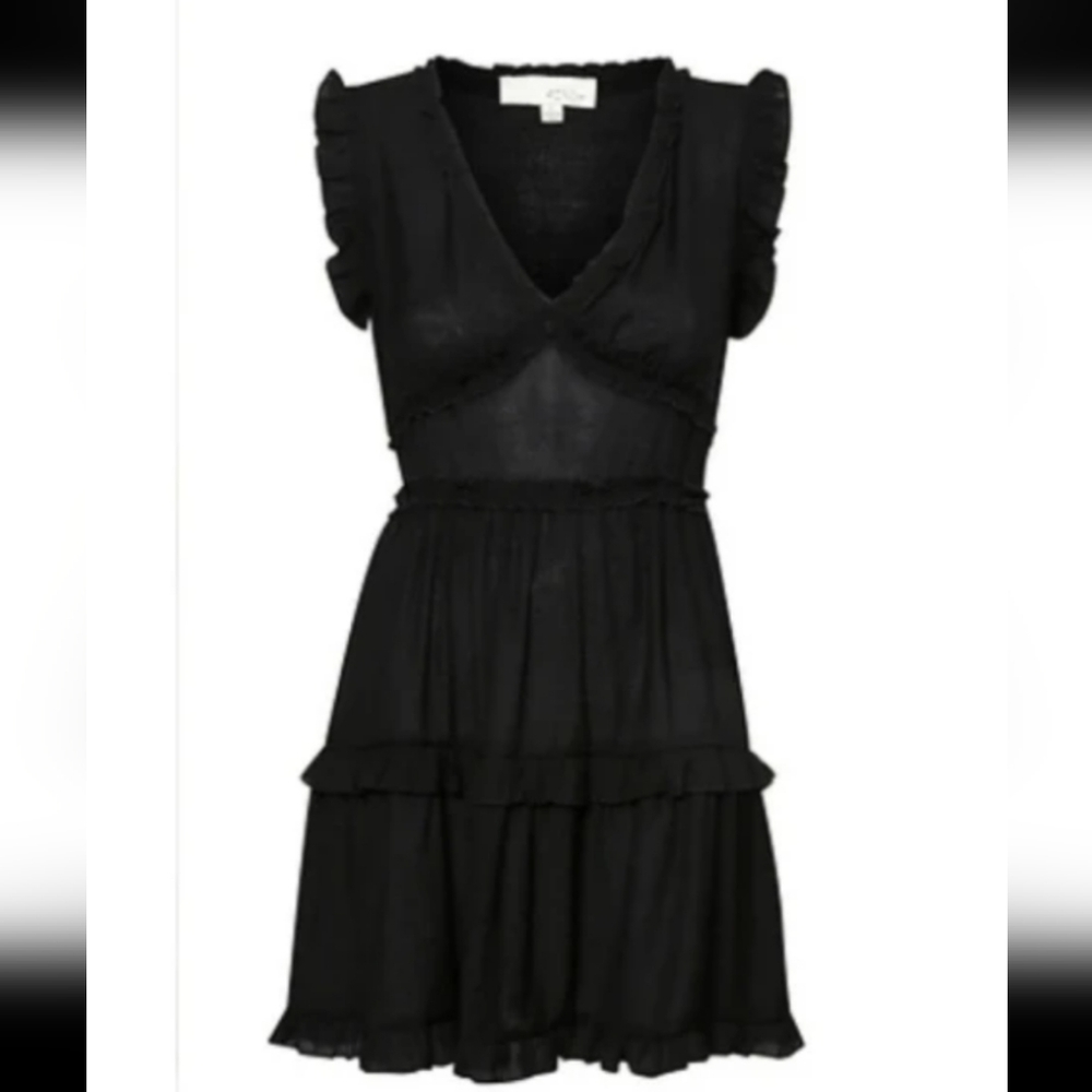 Pinch Black Ruffle Mini Dress